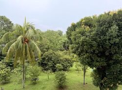 bukit-purmei-road photo thumbnail #13
